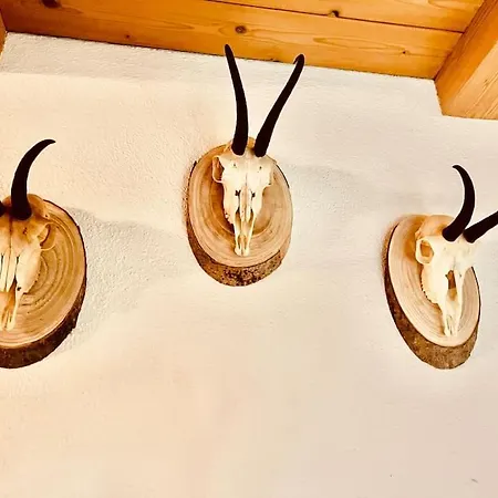 Lejlighed Gamsbock Panorama View Balkon, Gartensauna, Garten, Grillplatz *