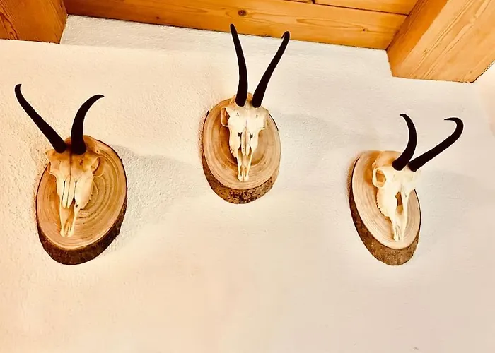 דירה Gamsbock Panorama View Balkon, Gartensauna, Garten, Grillplatz *