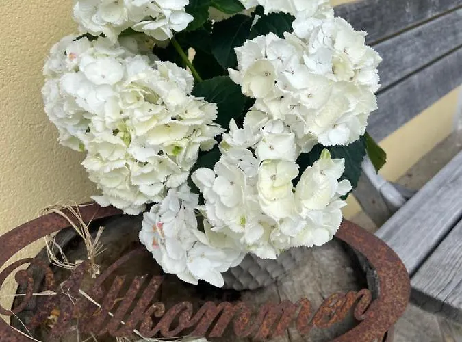 Gamsbock Panorama View Balkon, Gartensauna, Garten, Grillplatz *