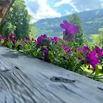Gamsbock Panorama View Balkon, Gartensauna, Garten, Grillplatz Апартаменты Штумм