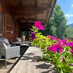 Gamsbock Panorama View Balkon, Gartensauna, Garten, Grillplatz Апартаменты Штумм